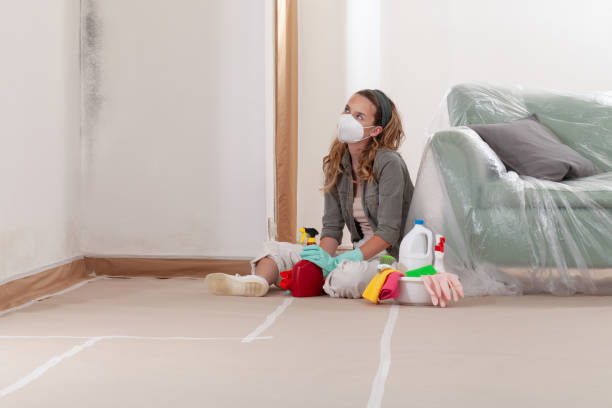Reliable Black Mold Remediation contractor in Aquasco, MD by 24 Hour Mold Removal